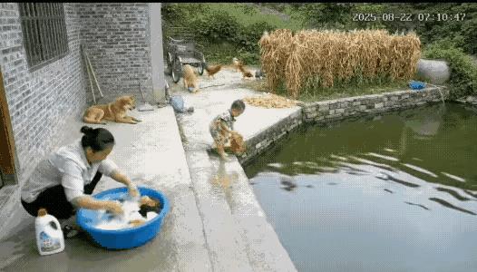 不得不说，现在的ai真是太牛了啊。[捂脸][捂脸][捂脸]