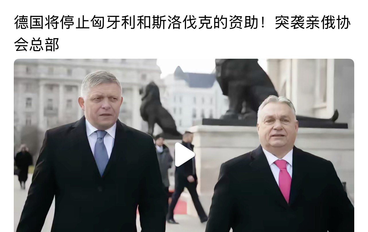 亲俄被踢出欧盟，活该





---





匈牙利和斯洛伐克这次真是玩砸了