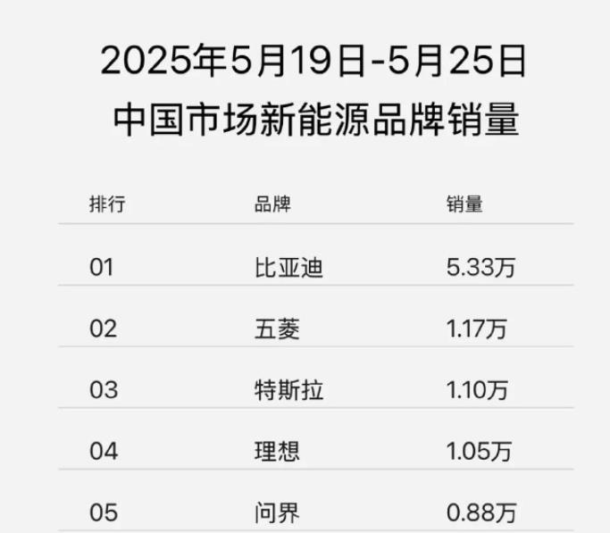 2025年中国新能源汽车品牌前5，基本上定型了，即比亚迪、五菱、特斯拉、理想、问