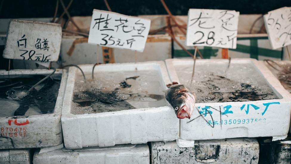 过年吃鱼，这4款野生鱼别错过，鱼贩子：养殖不了，天冷更鲜美！