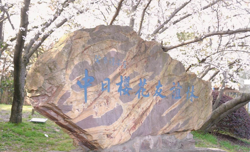#日本或将迎来首位女首相# 恭贺！希望她为中日关系改善发展和民间交流合作贡献力量