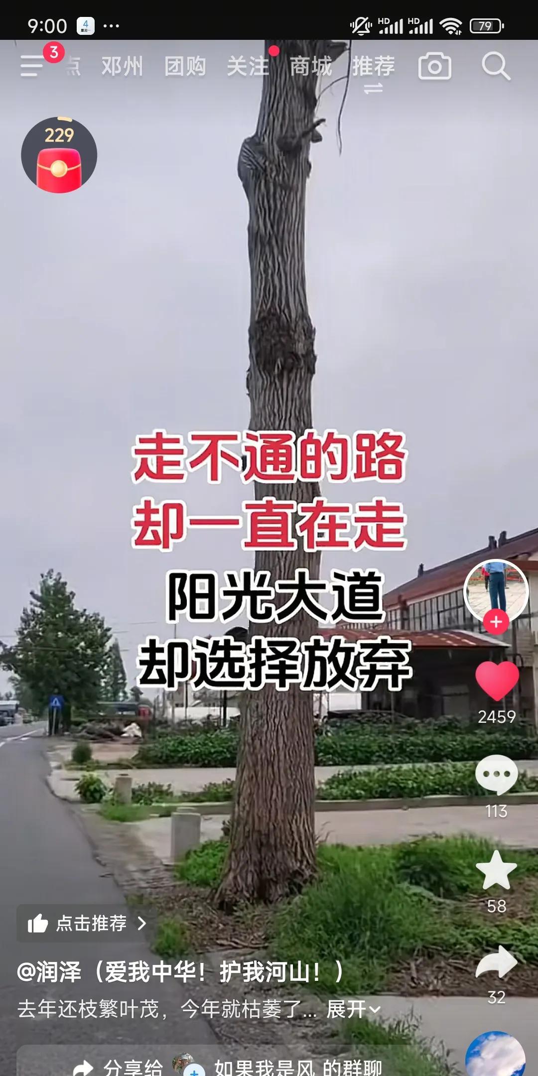 人教人不中，只有难墙中，如果撞了南墙不还不知回头就是自作孽不可活了。