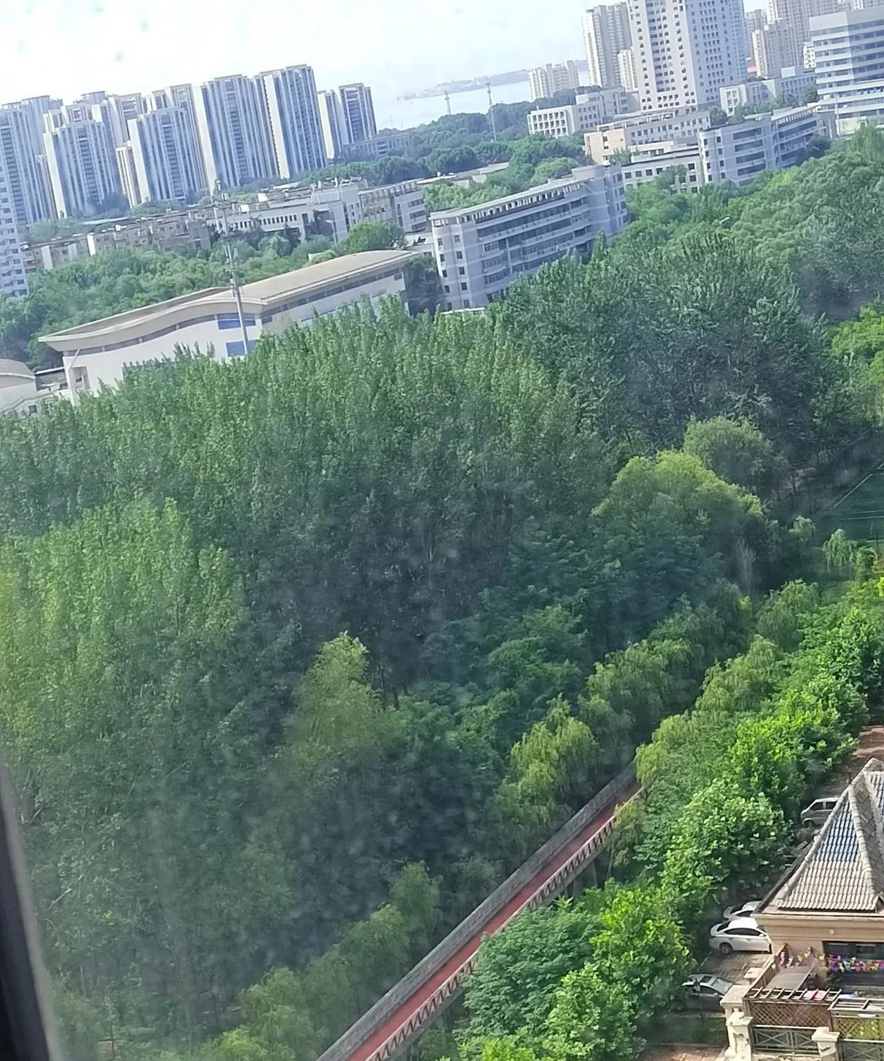 哎，这一天想不到念不到的事就发生了，姐俩都吓得不轻！
今早起和姐姐上森林栅道上去