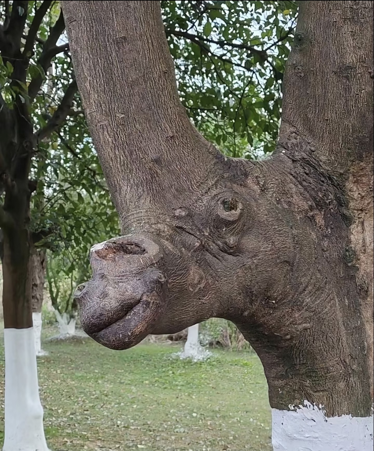 你肯定觉得没意思