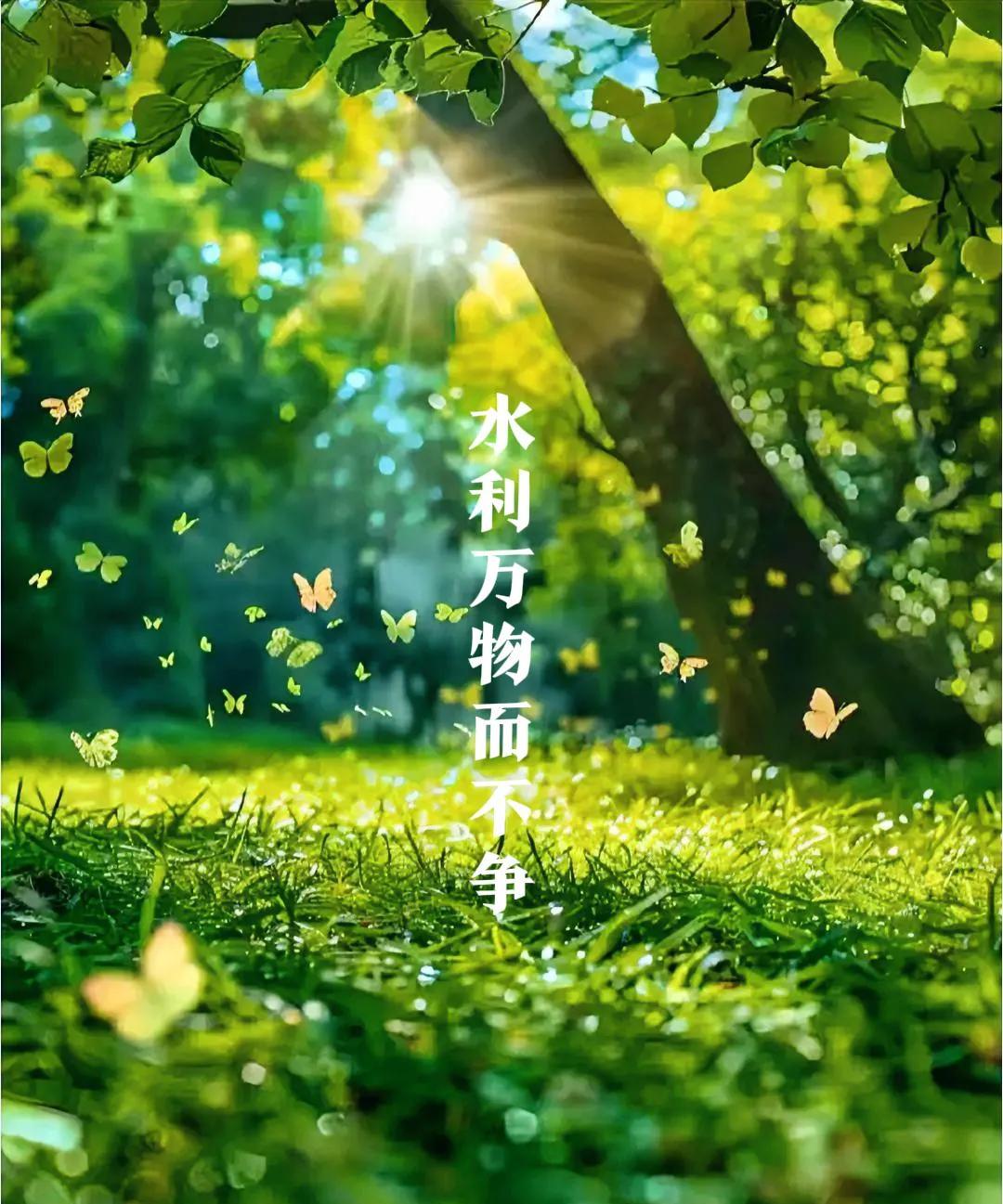 活着活着就明白了，人生就是那点事。  



这句看似简单的总结，却道出了我多年