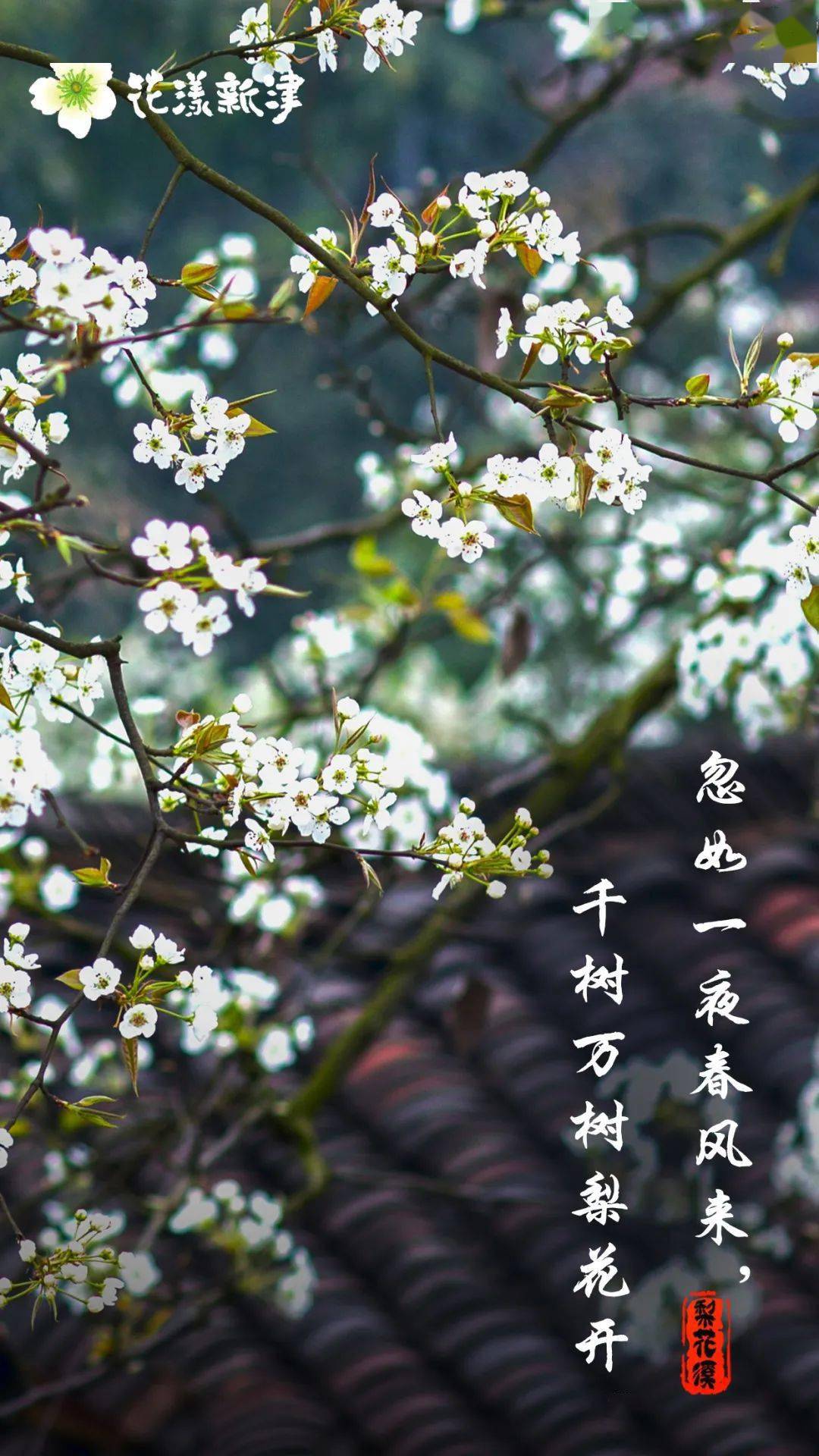 在中国古典诗词中，"忽"字常用来表达时间倏忽、情感突变或景象骤转的意境，以下是一