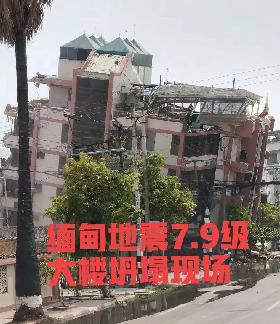 看到缅甸7.9级地震上热搜
我赶紧给外派在缅甸的同事打电话！
她哭着说，当时她在