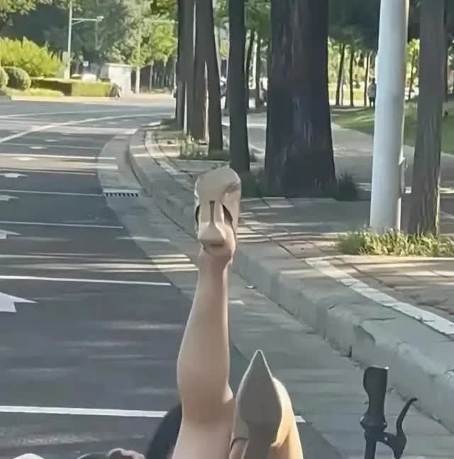 开车去上班的路上，看到一名女子一手骑着电瓶车，还腾出一只手来看手机。车来车往人流