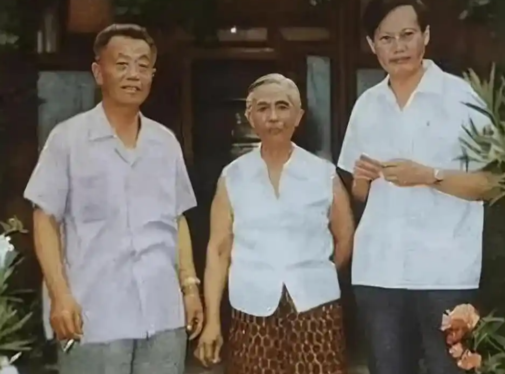 杜聿明长子考上哈佛，后来因没钱交学费自杀，同在美国的姐夫杨振宁为何当时没有借钱？