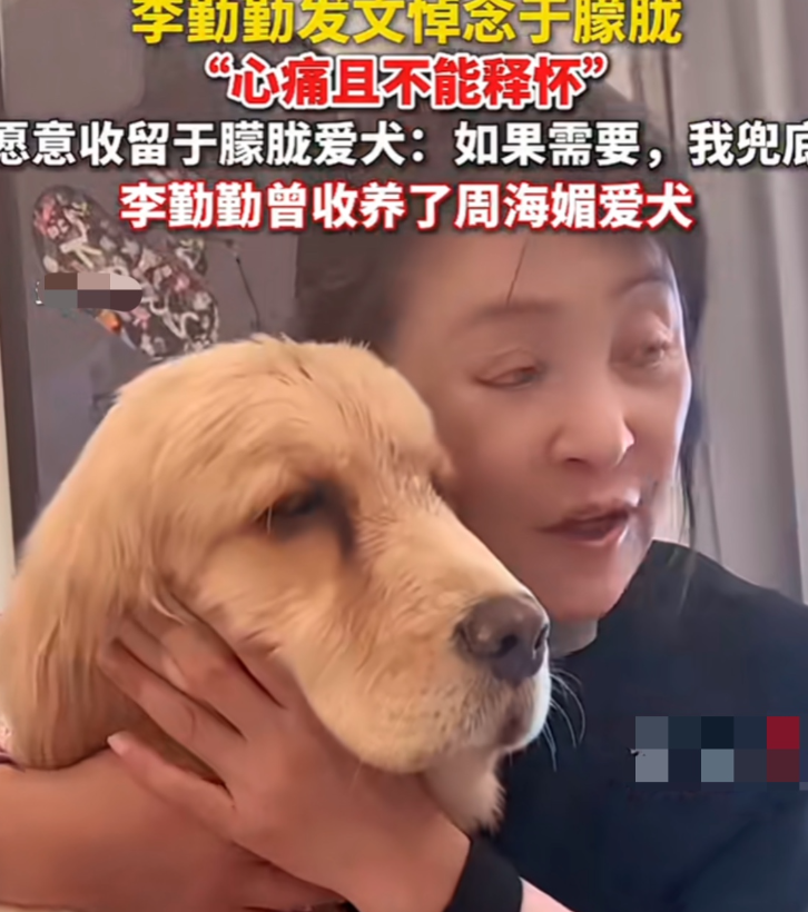 李勤勤发文悼念于朦胧
“心痛且不能释怀”
愿意收留于朦胧爱犬：如果需要，我兜底李