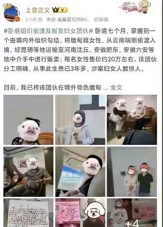 这个境外组织专门贩卖人口！
他们从缅甸将年轻的女性贩卖到中国，一个女孩子卖二十万