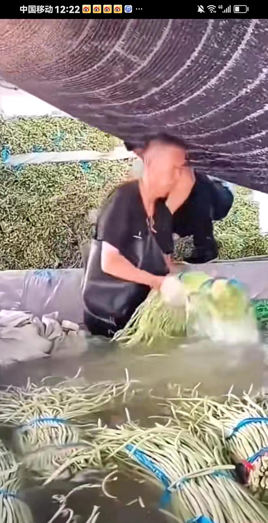 豆子为何要泡水？泡的是什么水？有懂的吗？