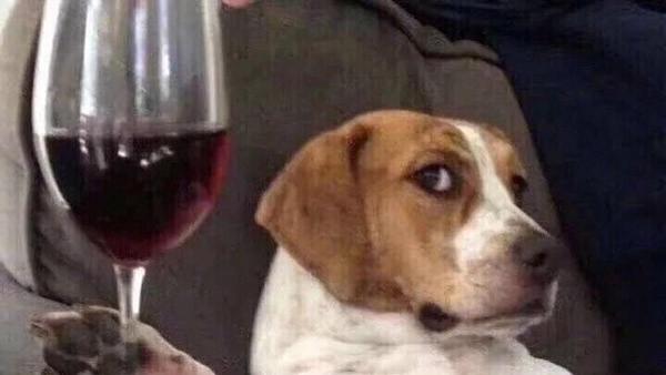 没有负债，身体健康，你已经跑赢了大部分同龄人