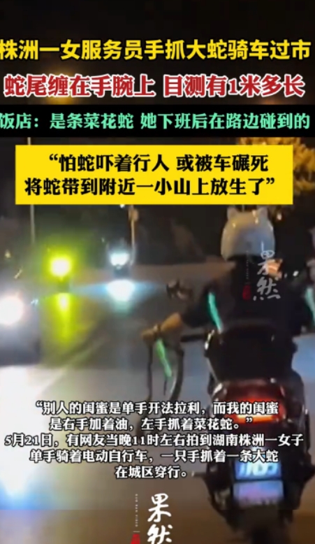 “太有种了！”湖南株洲，一女子单手骑着电动车，另一只手拎着一条大蛇头部，蛇尾缠在