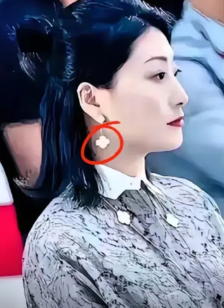 现在才知道宗馥莉妈妈施幼珍有多么明智，她默默的看着老公出轨，并容忍小三生出一个又