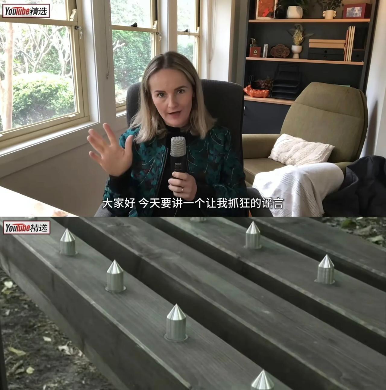 说一个油管博主替中国辟谣的奇葩事儿。这位博主是一名建筑领域编辑，她表示自己在很多
