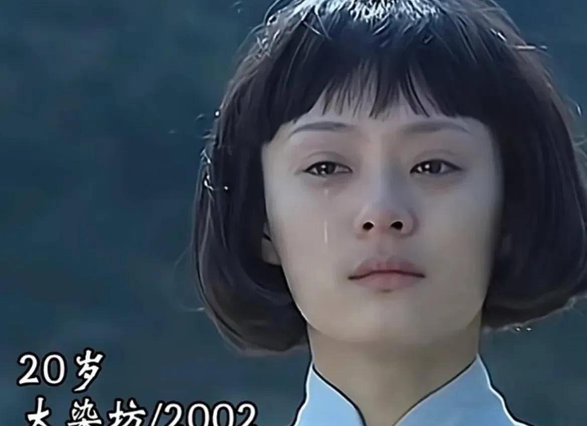 孙俪说，我觉得拍《大染坊》期间，是我最辛苦的时候。你想想，十二月的冬天，零下的温
