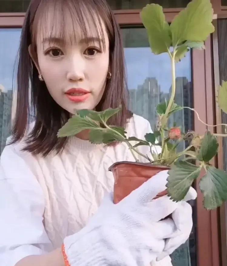 看到王宝强我就想到马蓉，我觉得她现在应该很后悔吧。
曾作为王宝强妻子，马蓉生活优