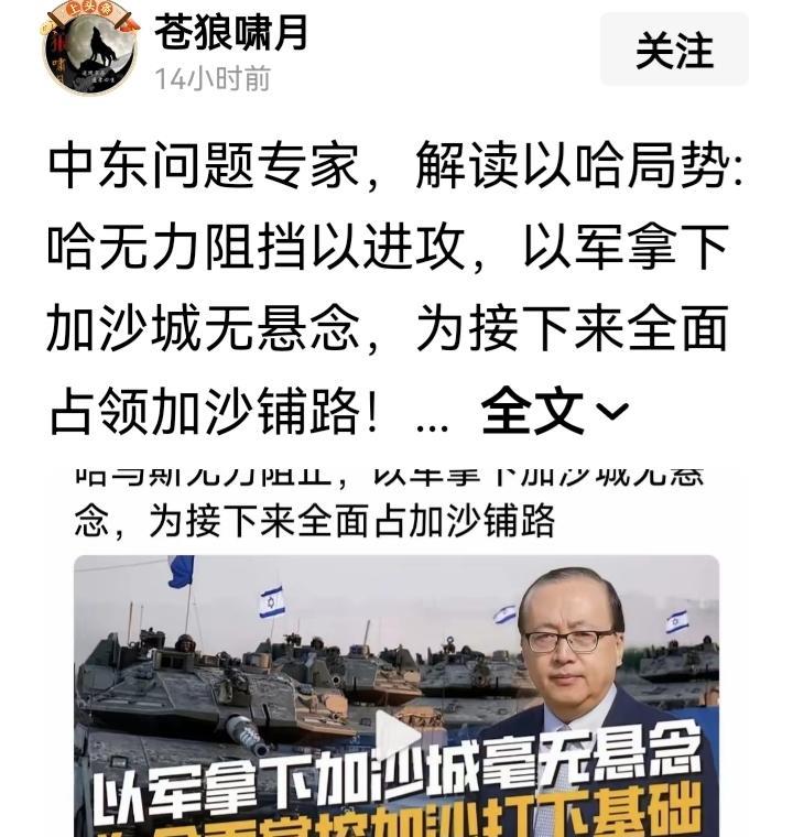 看来，专家也不看好哈马斯了。