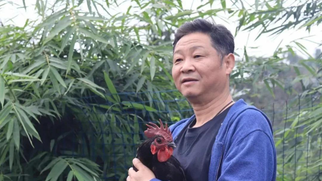 “德子土” 商标争议：当防御性注册沦为信任粉碎机