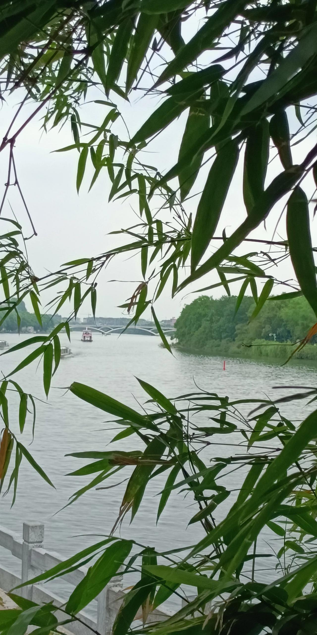 找到一条路子才是走出困境的关键。我是下岗失业大军中的一员，下岗失业意味着什么，只