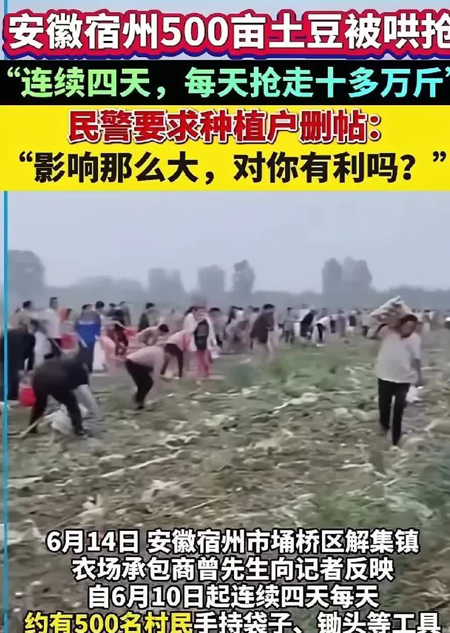 难以置信，淮海省地面上也开始零元购了，别看平时畏畏缩缩的一个人，合起伙来就胆大包