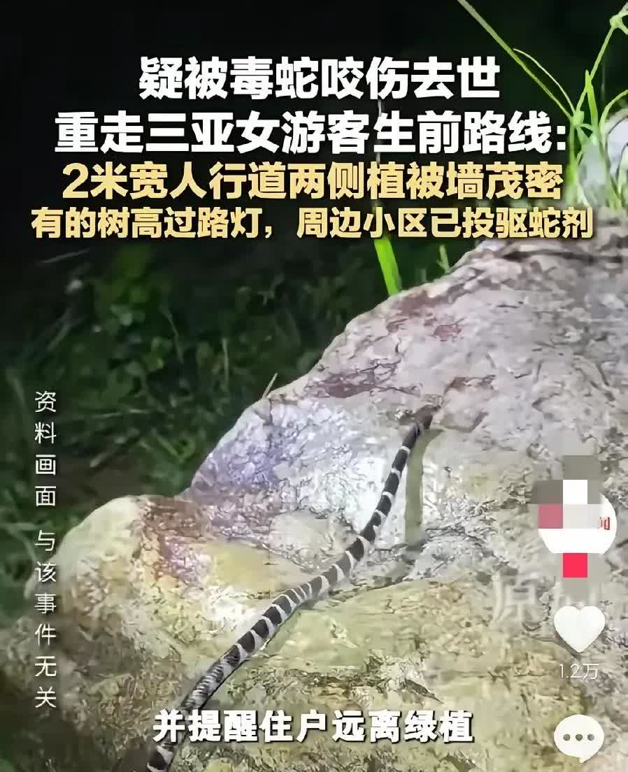 海南的毒蛇越来越多，有人说是好事，说明生态越来越好。
好什么好，我们要的是一个
