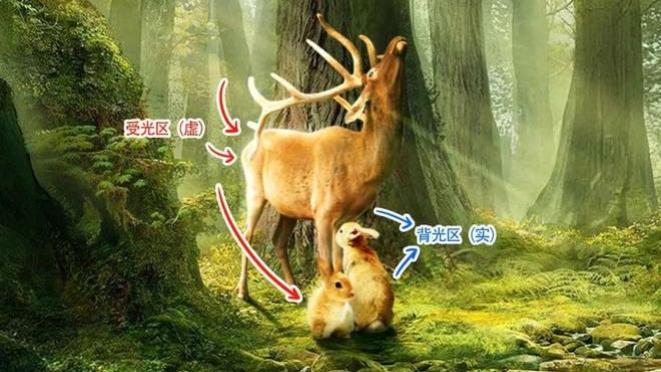 难怪打光不好看，原来有这么多细节被忽略了~