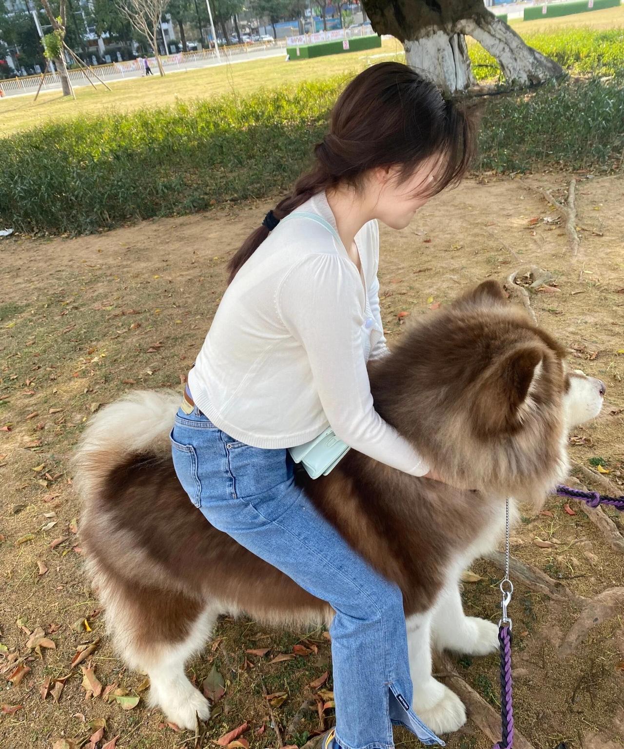 人与动物和谐相处
