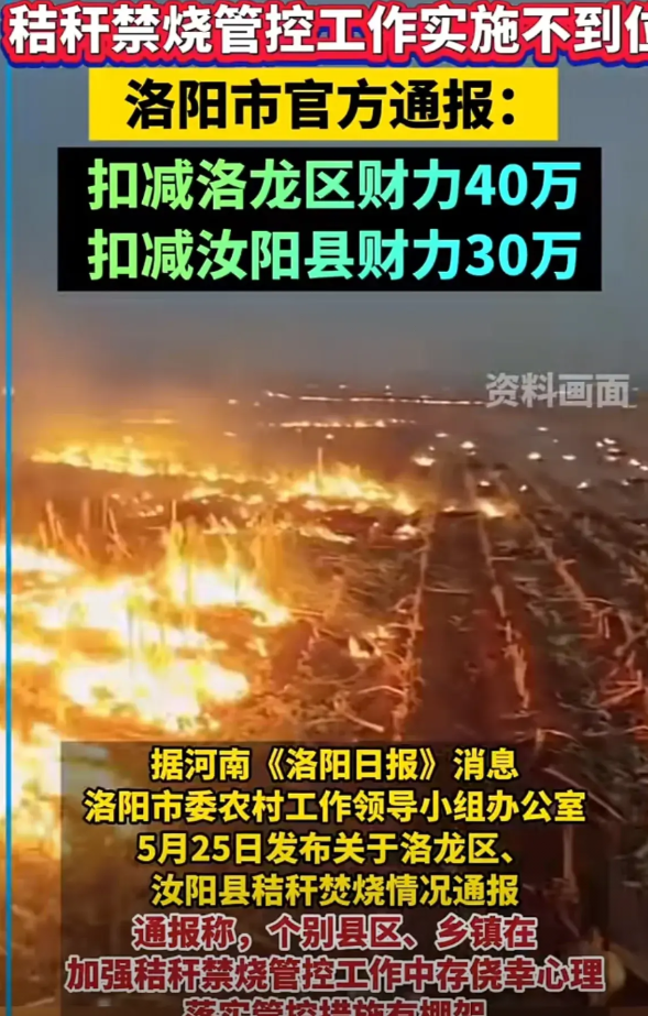 洛阳两地因为烧秸秆被处罚，禁烧秸秆这事，争议挺大。以前没禁烧时，每年五六月份收完