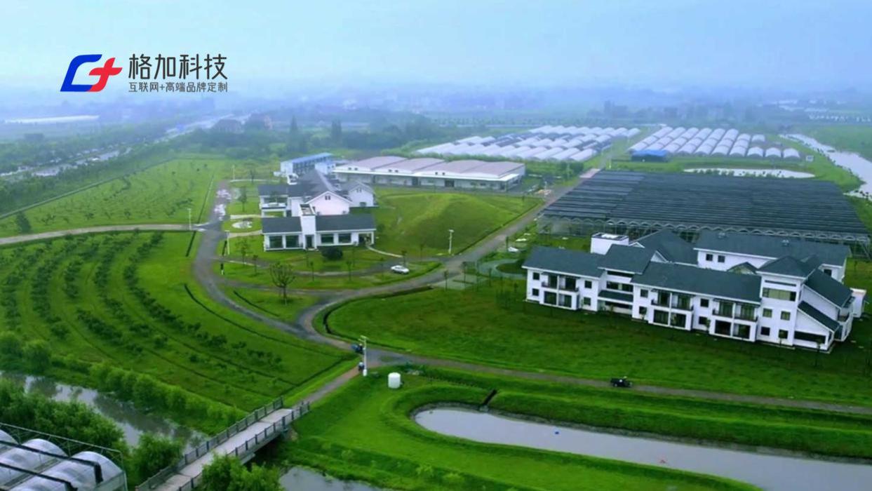 2025深圳十大网站建设公司优选榜：国内靠谱网站设计制作公司推荐