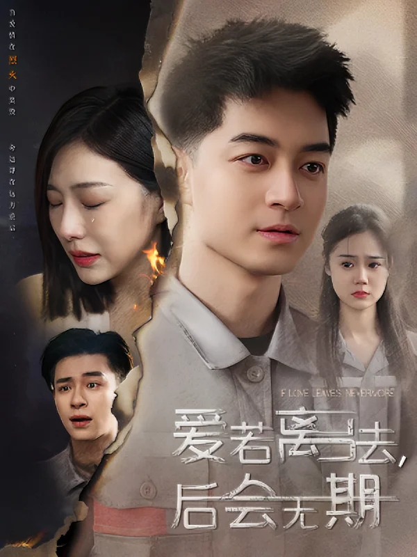 爱若离去，后会无期