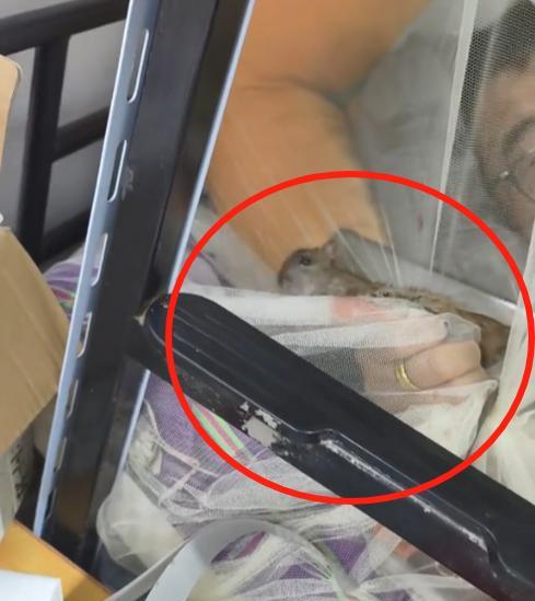 “万万没想到！”江苏无锡，男子睡觉的时候感觉有东西在身上爬，他以为是自己刚养的猫