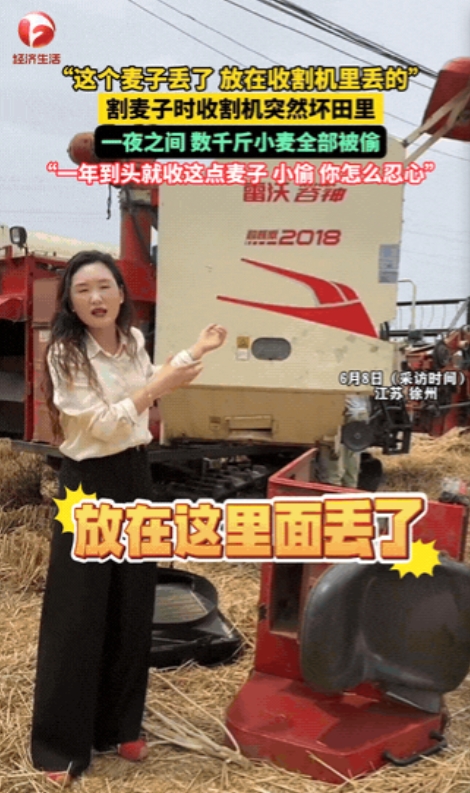 6月8日，江苏徐州一辆收割机在收麦时坏了，只能停在那里等修，结果第二天一看，机里