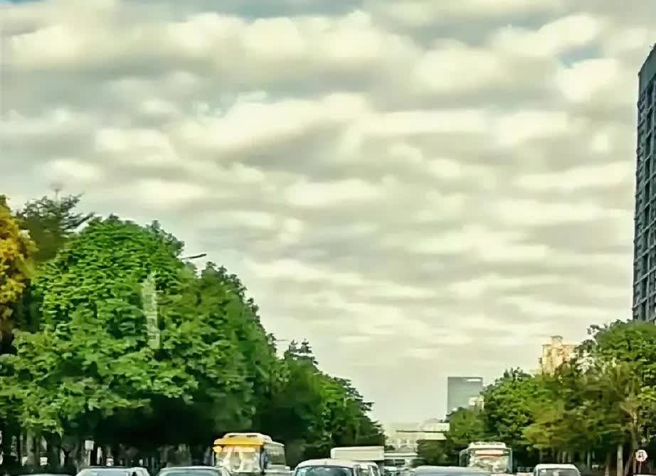 忽然发现这两年考驾照的人好多呀！
以前年轻人多，现在年纪大了也不少。本来啊，我