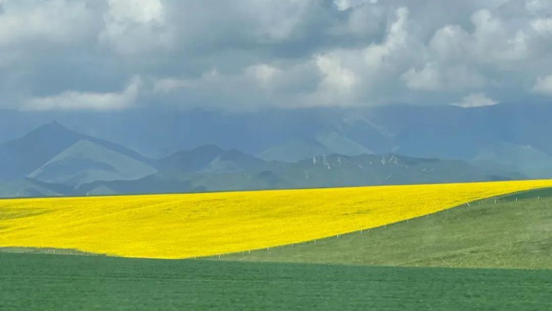 甘肃24岁女大学生，深圳工作收入低，男友广东人，要回甘肃考公吗