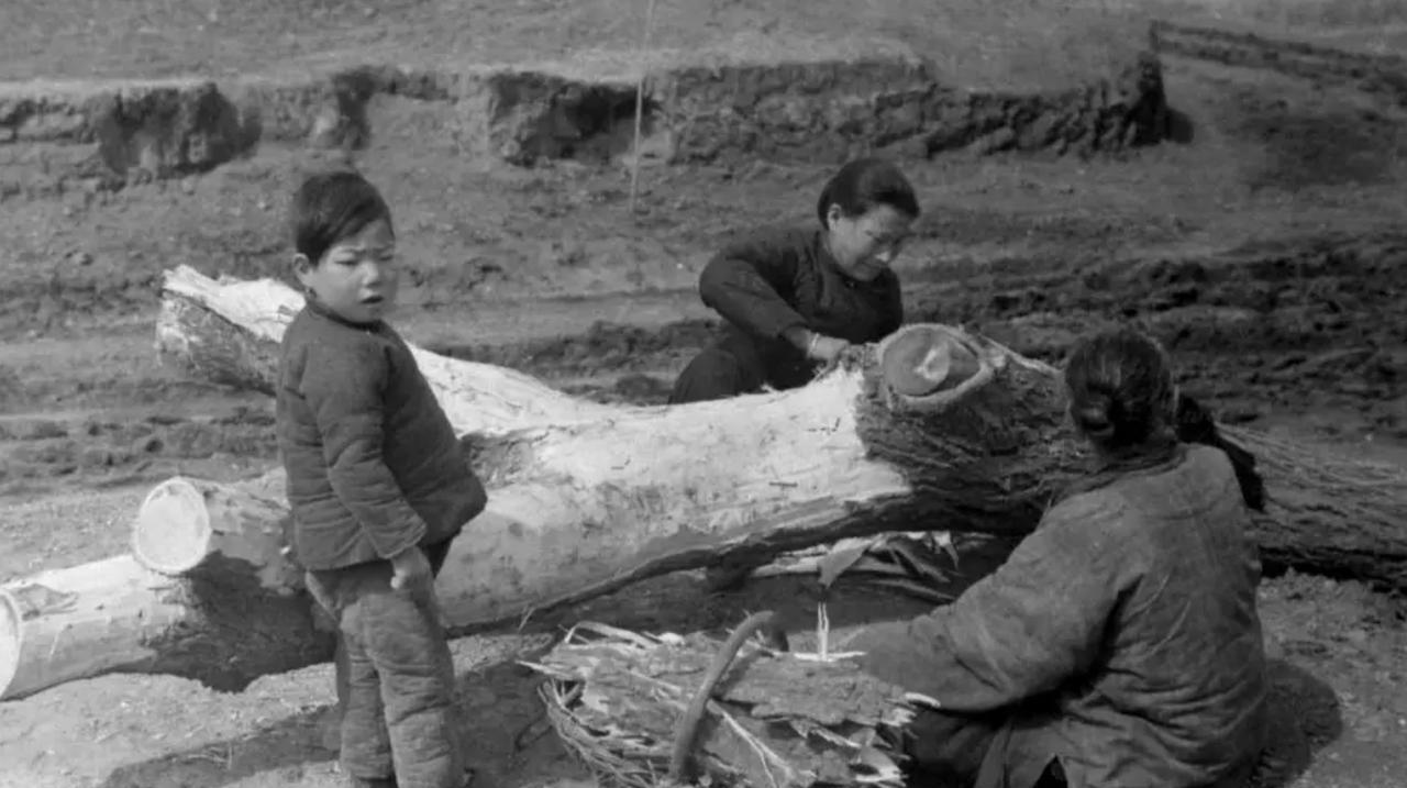 杀民养军？杀军养官！
1942年前后的河南大饥荒，对冀鲁豫地区的影响，同样深刻。