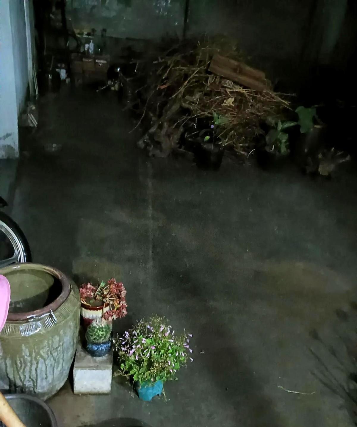 现在是2025年6月9号21:17，平度市现在正在下雨，而且这个雨下的还比较大。