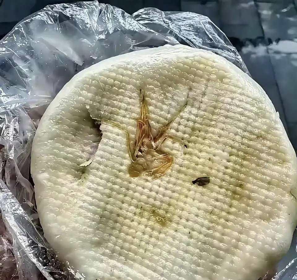早上买个包子，刚想吃就看到了，这是啥玩意