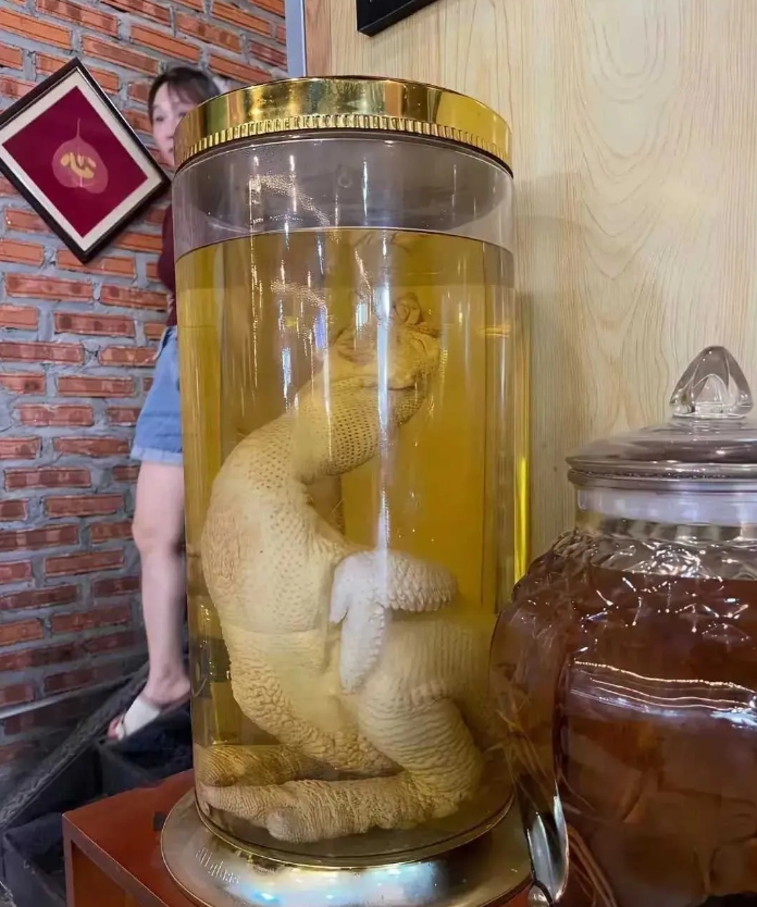请给这个酒起一个名字。