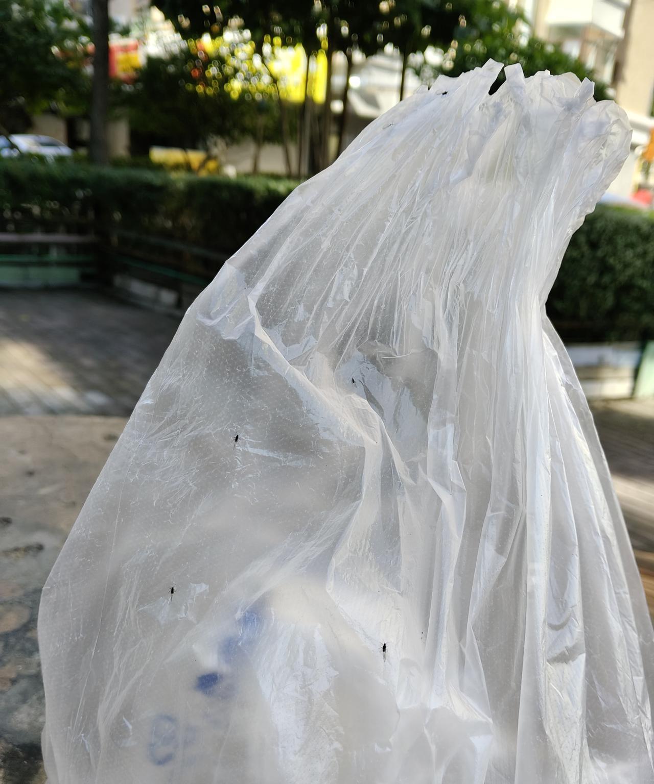 哈尔滨的小咬今天泛滥了！！
一早上一出门，我穿着一件浅黄色的外套，要被围攻了，还