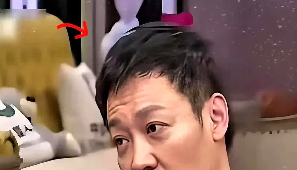 辛柏青和媛媛2006年领证，后因为吵架分开，辛柏青气跑去找李乃文哭诉。

李