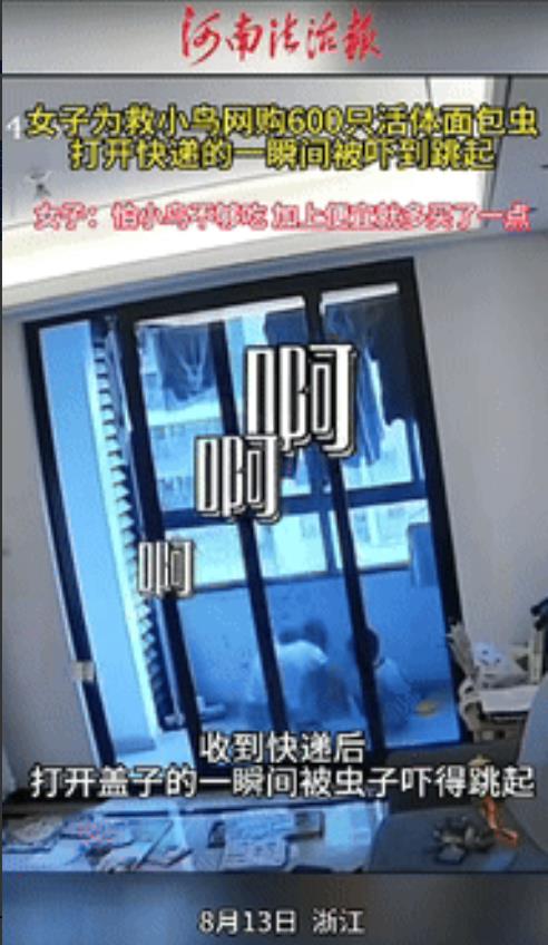 “笑不活了！”浙江，女子路边发现一只奄奄一息的小鸟，她以为小鸟是饿了，于是将小鸟