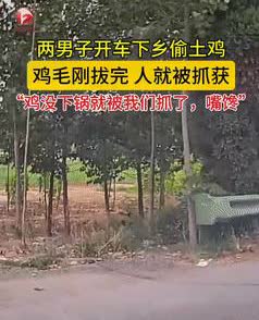 丢人呐！安徽，2男子开车到农村，用弹弓打了两只大公鸡带回家，没想到晚上就被民警找