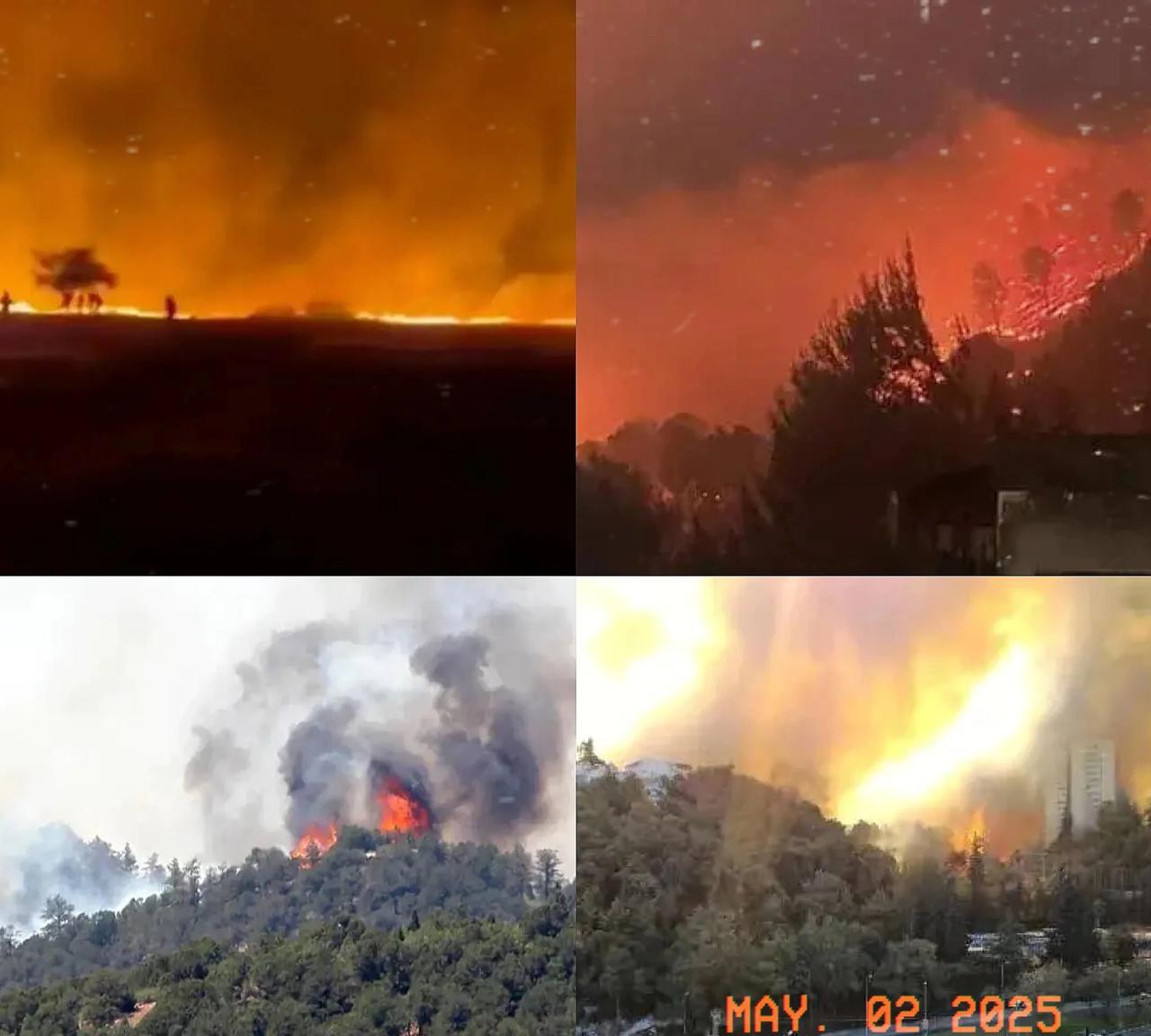 打蛇打七寸，以色列被戳中肺管子了!
一场山火让以色列哭爹喊娘!
以色列山火爆发，