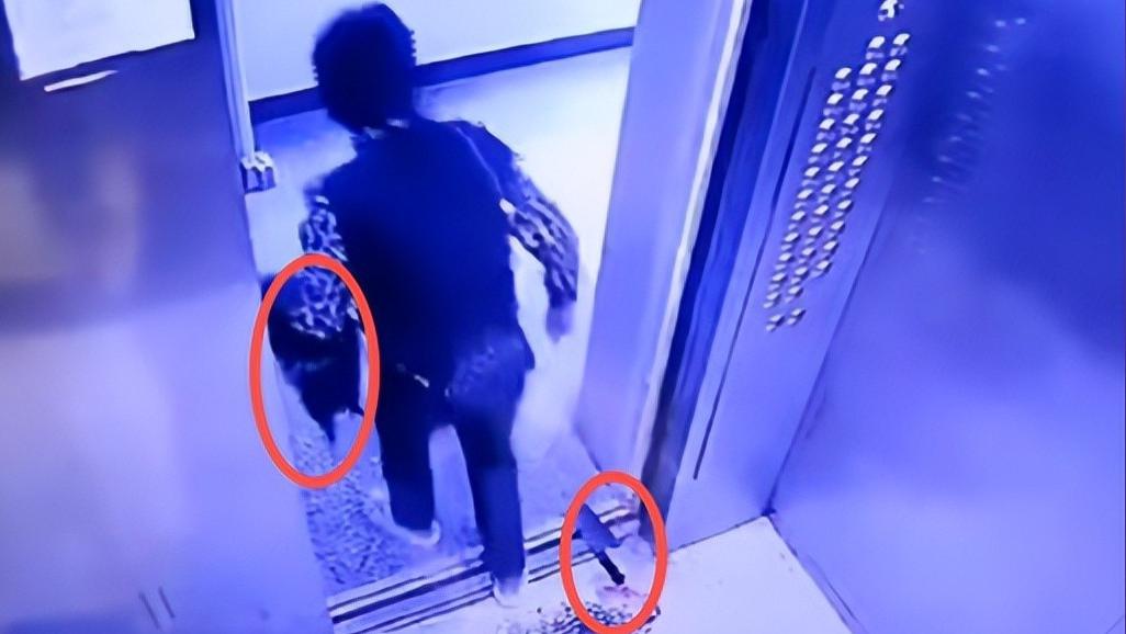 大妈在电梯内杀鸡？拿刀挡电梯，将电梯搞坏后续：家属已赔钱