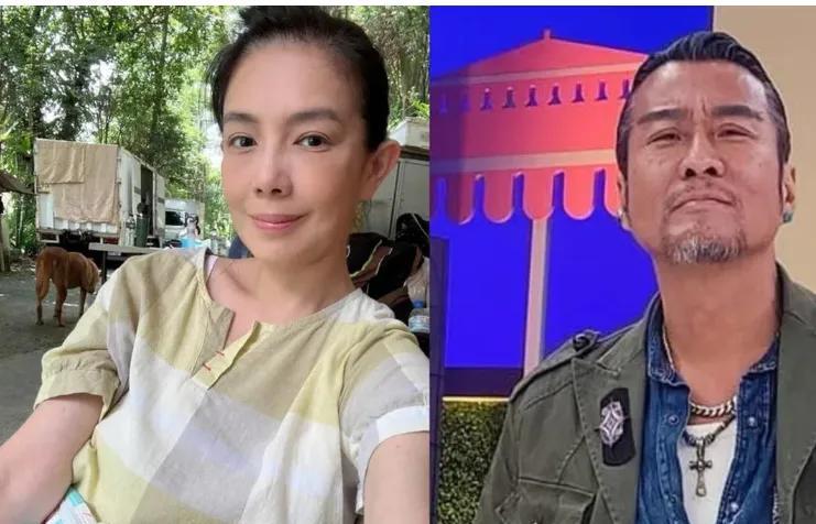 林美贞二度宣布离婚 结束与孙兴24年纠葛
54岁马来西亚女艺人林美贞和61岁香港