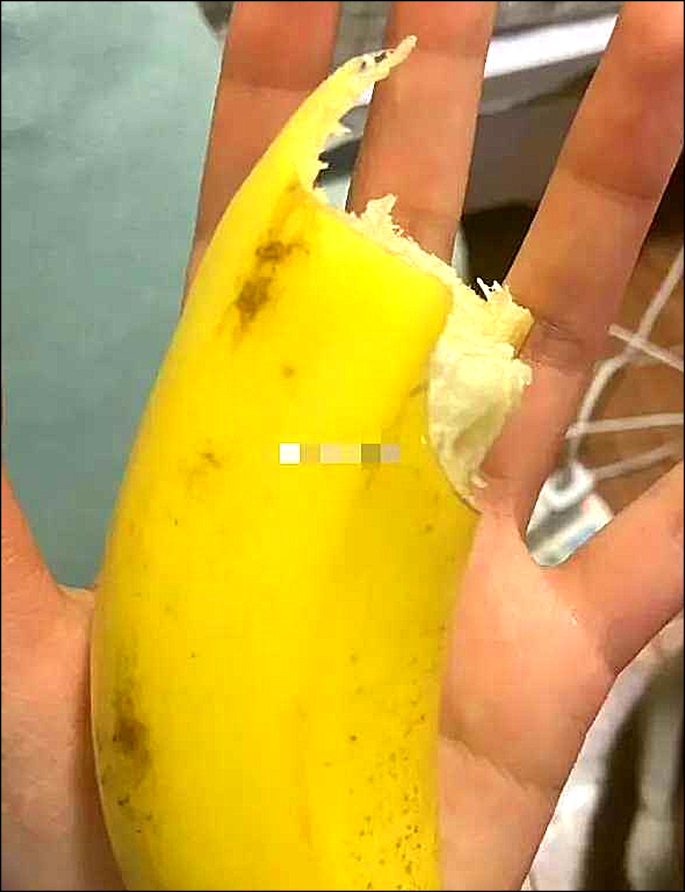咬了这么多，还能用吗？