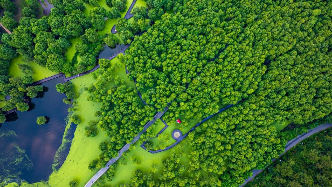 FSC认证木浆纤维棉纸袋可回收可降解防静电高温高压耐蒸煮包装袋