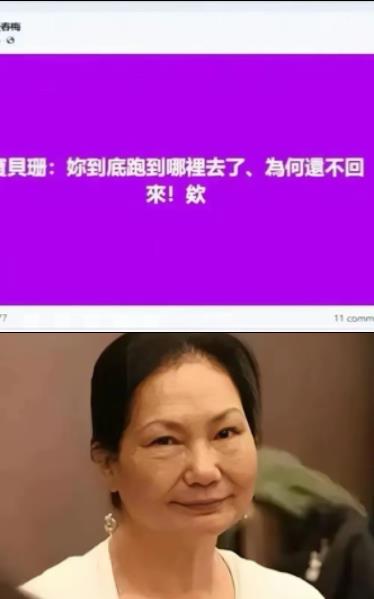 到底是谁不让大S安息？
大S活着的时候，她妹妹小S就整天在节目上爆她的料，连上厕